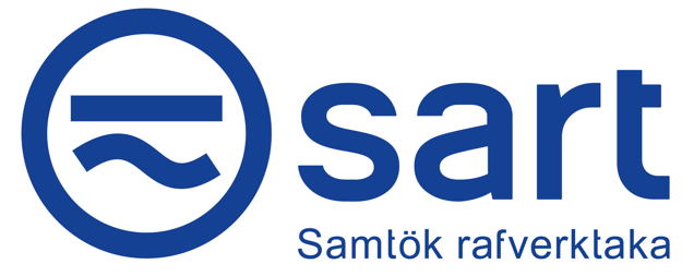 Viðtal við forstjóra Raftækjasölunnar ehf.